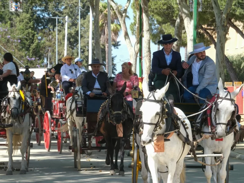 eventos puerto de santa maria - viajes iluminada